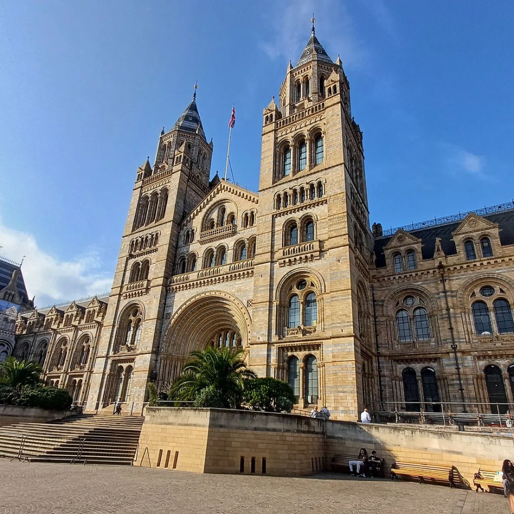 The Natural History Museum | Things to Do in London