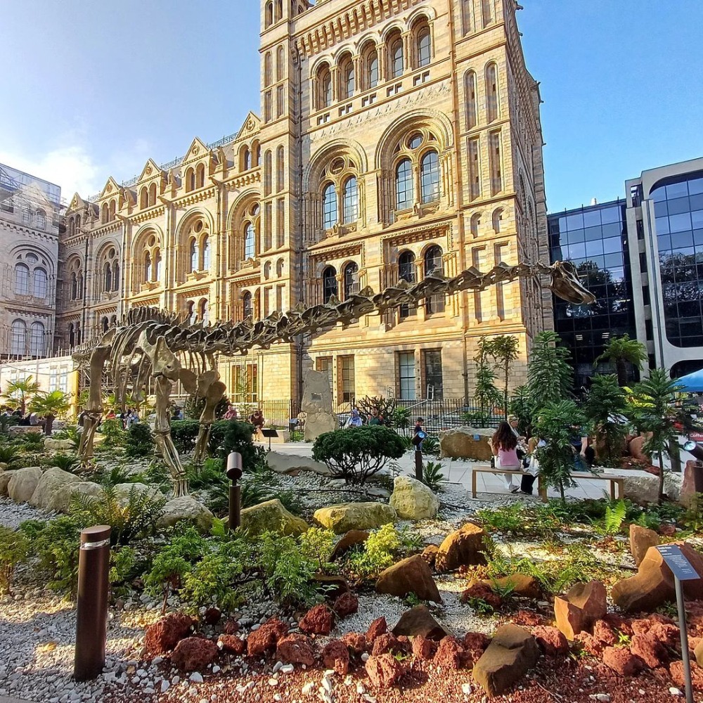 The Natural History Museum | Things to Do in London 