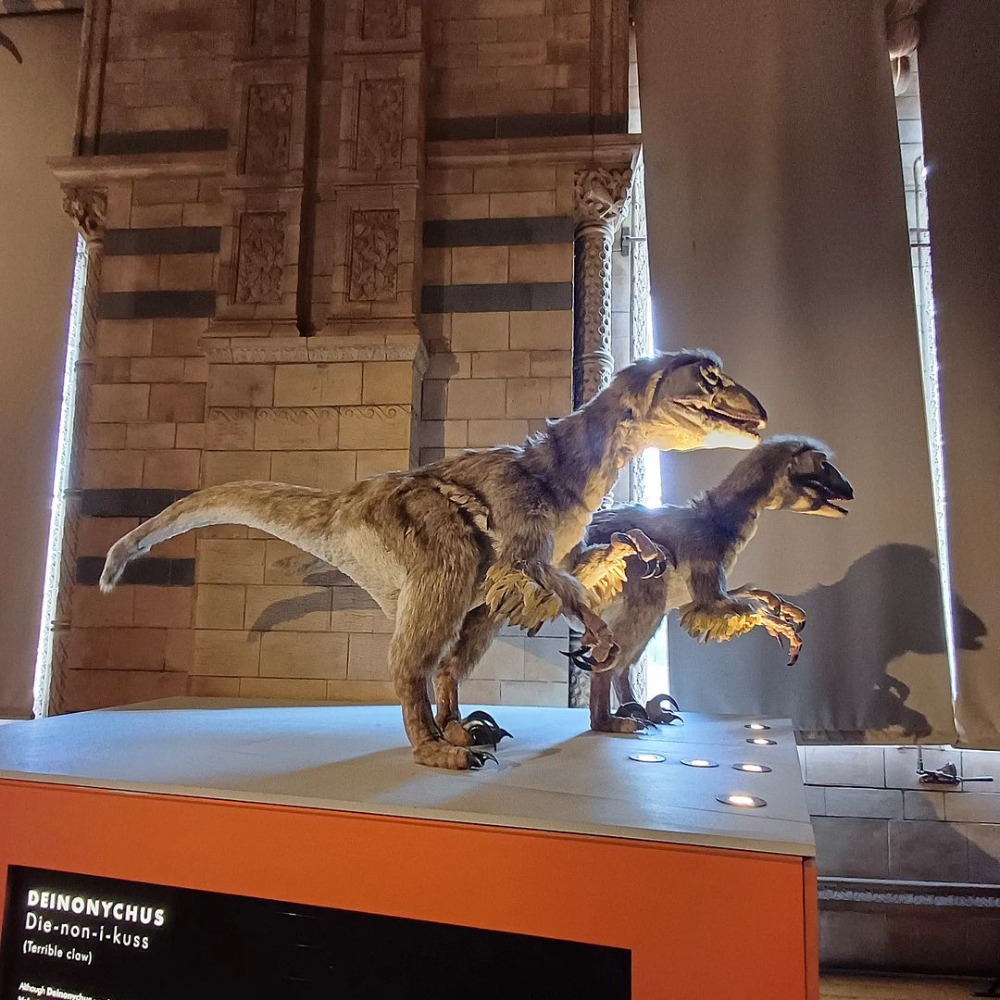 The Natural History Museum | Things to Do in London - dinosaurs