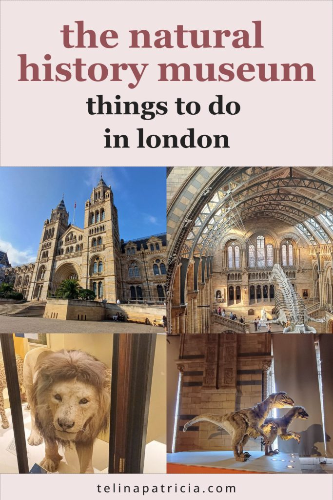 The Natural History Museum | Things to Do in London pin